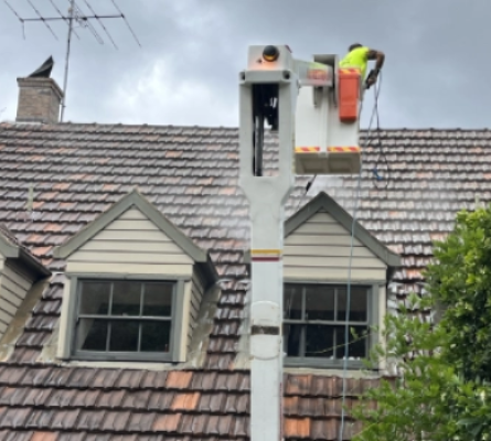 Roof Cleaning